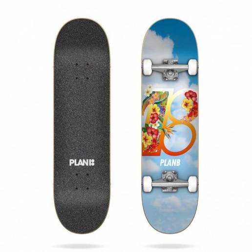Plan B Hawaii 8.25" x 31.85" nuo Plan B skateboards