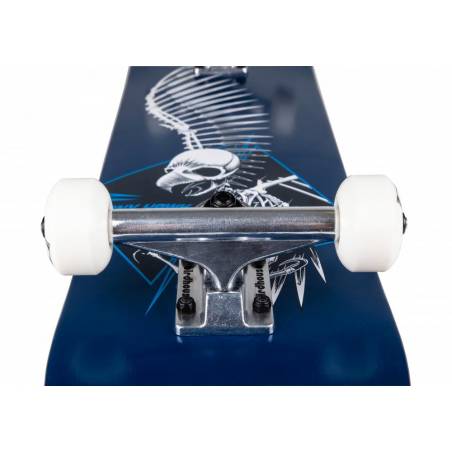 Riedlentė Birdhouse Stage 1 Full Skull 2 Blue 7.5" X 31" nuo Birdhouse Skateboards Klasikinės riedlentės (skateboards)  Riedlent